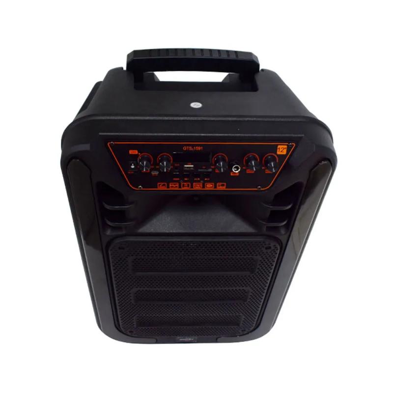 bafle-bocina-grecitnice-bluetooth-de-12-pulgadas-con-control-remoto-microfono-y-luz-led-/-gts-1591