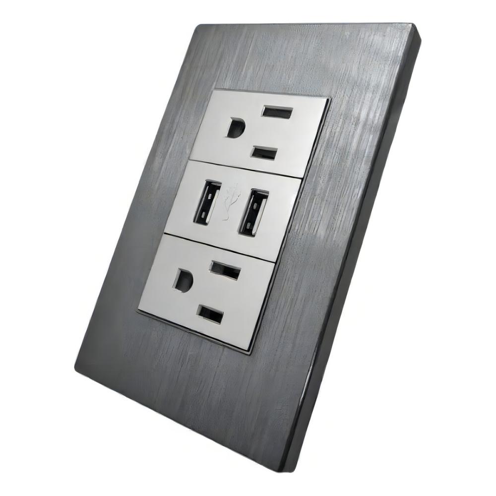 Receptáculo Hy-j310 Contacto Placa Usb Megaluz Con 2 Color Gris
