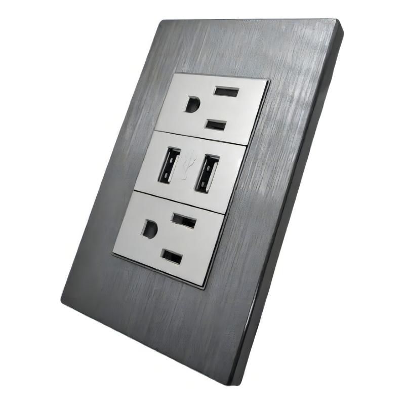 Receptáculo Hy-j310 Contacto Placa Usb Megaluz Con 2 Color Gris