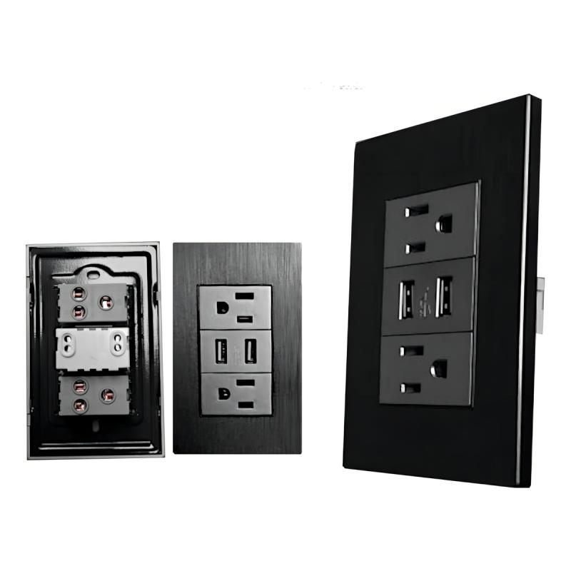 Receptáculo Hy-j310 Contacto Placa Usb Megaluz Con 2 Color Gris