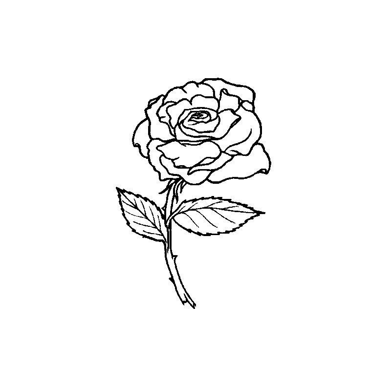 DIseños Grabado Laser