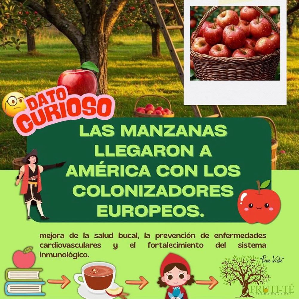 tisana-frutal-te-manzana-canela-500gr