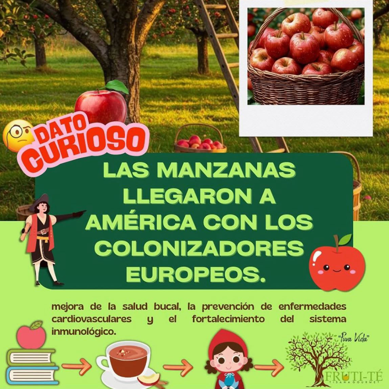 tisana-frutal-te-manzana-canela-500gr