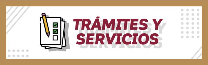 TRAMYPAPER